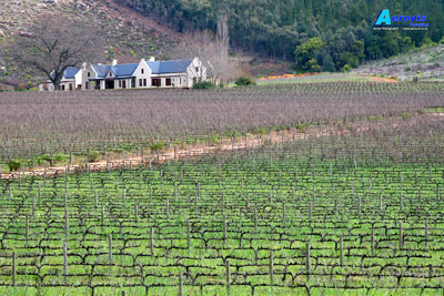 Winelands, Western Cape