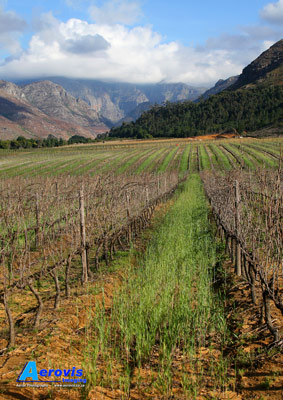 Winelands, Western Cape
